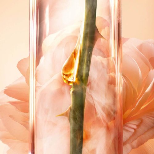 LANCÔME-Absolue Revitalizing Eye Serum